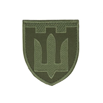 Нарукавний знак "Территоріальна опора" — Olive (8 * 7 см) 2914950061722 фото